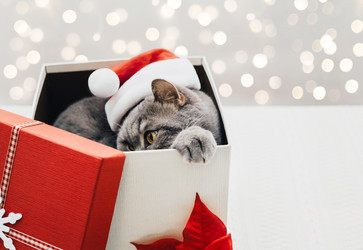 Similar image 21682763