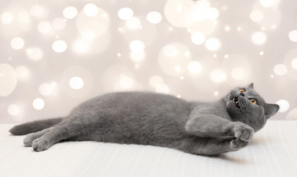 Similar image 21682767