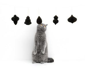 Similar image 21682772