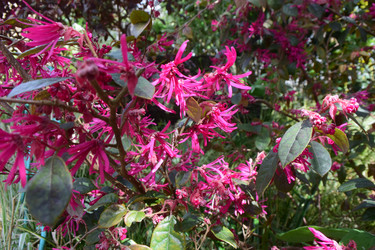 Similar image 21683042