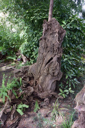 Similar image 21683043