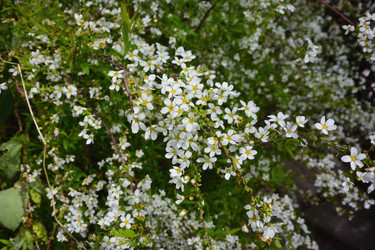 Similar image 21683045