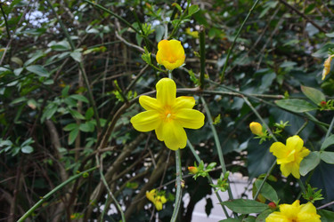 Similar image 21683046