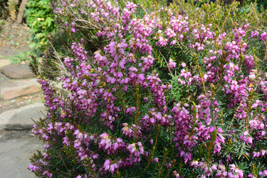 Similar image 21683047