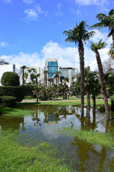 Similar image 21683050