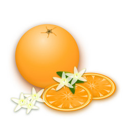 Similar image 21683730