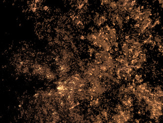 Similar image 21684149