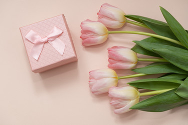 Similar image 21683065