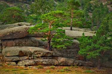 Similar image 21683759