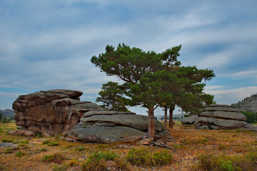 Similar image 21683765