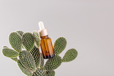 Similar image 21683219