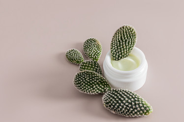 Similar image 21683222