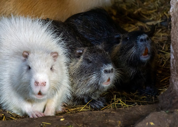 Similar image 21683734