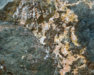 Similar image 21683735