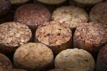 Similar image 21683223