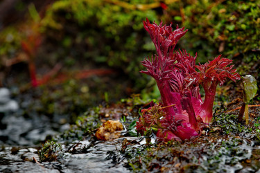 Similar image 21683809