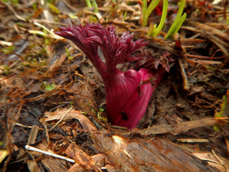 Similar image 21683813