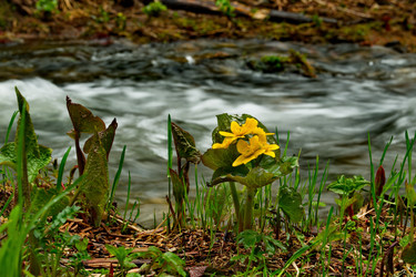 Similar image 21683817