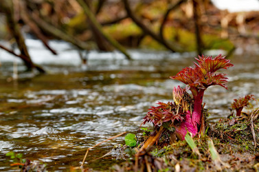 Similar image 21683819