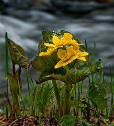 Similar image 21683821