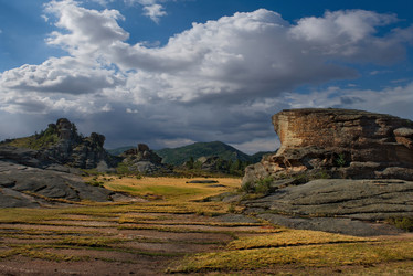 Similar image 21683826