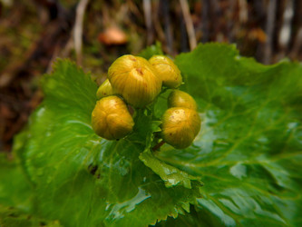 Similar image 21683827