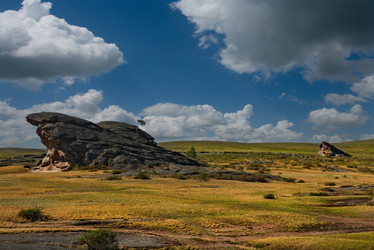 Similar image 21683829