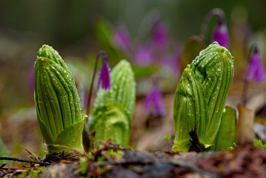 Similar image 21683830