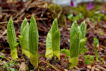 Similar image 21683832