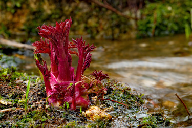 Similar image 21683835