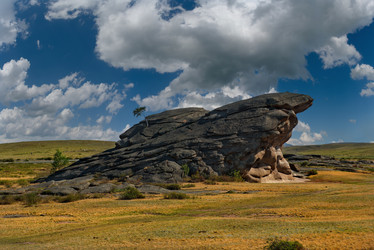 Similar image 21683836