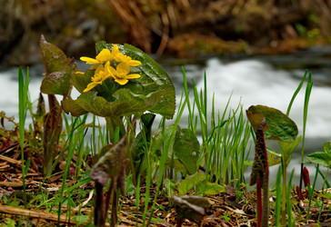 Similar image 21683844