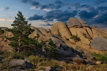 Similar image 21683854