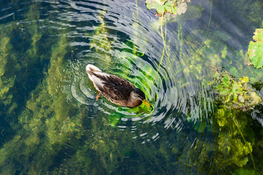 Similar image 21684369