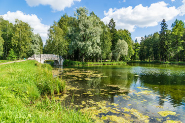 Similar image 21684373