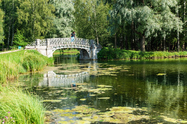 Similar image 21684374