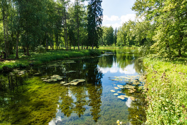 Similar image 21684375