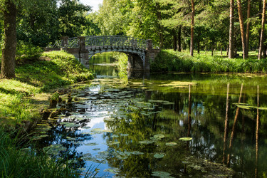 Similar image 21684376