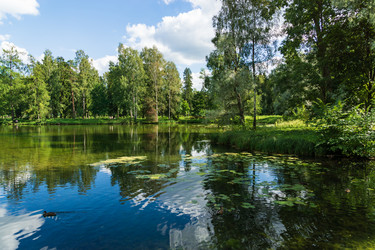 Similar image 21684378