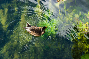 Similar image 21684379