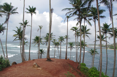 Similar image 21684454