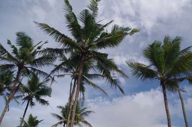 Similar image 21684455