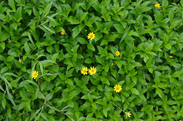 Similar image 21684458