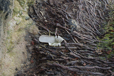 Similar image 21684459