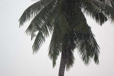 Similar image 21684460