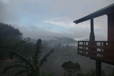 Similar image 21684462