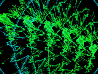 Similar image 21684215