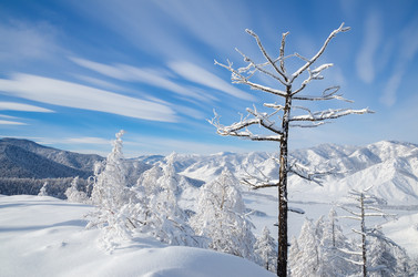 Similar image 21684967