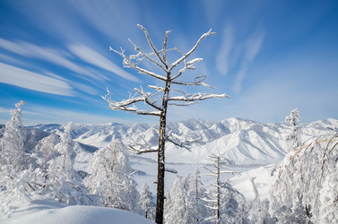 Similar image 21684968