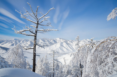 Similar image 21684969